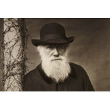 Charles Darwin