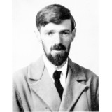 D. H. Lawrence