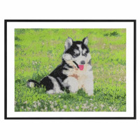 Pictură diamant Creative Craft, model câine, 40x50 cm