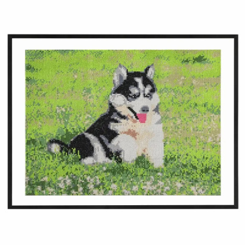 Pictură diamant Creative Craft, model câine, 40x50 cm