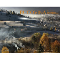 Bucovina. Țara Fagilor II