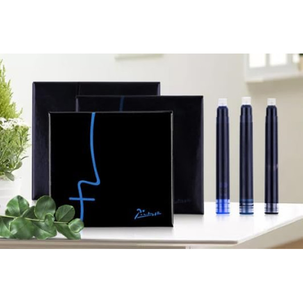 Cartuse cerneala Picasso negre - set 5