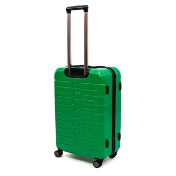 Troler Ella Icon Leaf cu 4 roti duble, ABS, 67x45x27 cm, Verde
