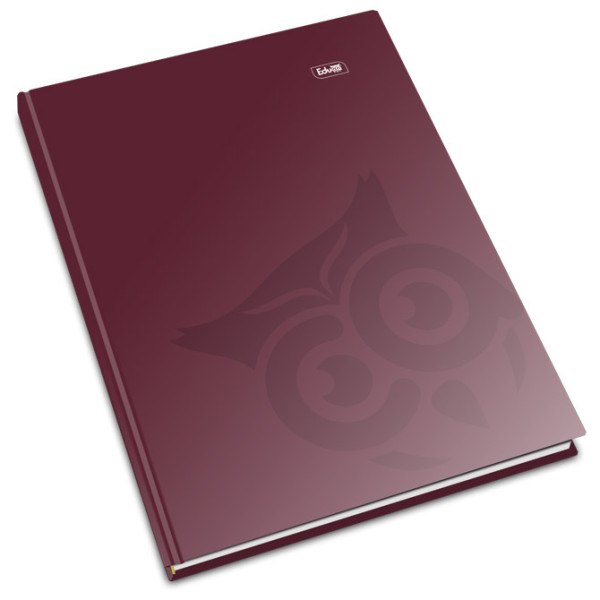 Registru A4 192 file monocrom, culori asortate Educa, dictando
