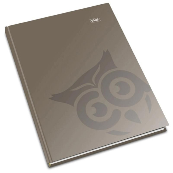 Registru A4 192 file monocrom, culori asortate Educa, dictando