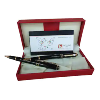 Set Roller + Stilou Picasso 903