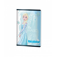 Caiet Vocabular 24f Frozen