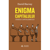 Enigma capitalului