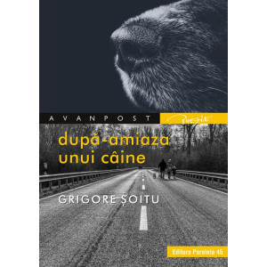 După-amiaza unui câine