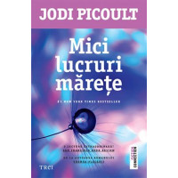 Mici lucruri mărețe