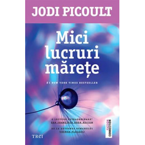 Mici lucruri mărețe