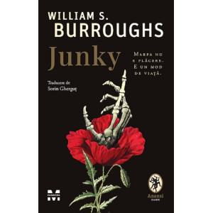 Junky. William S. Burroughs