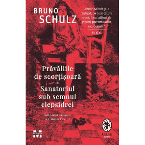 Prăvăliile de scorțișoară. Sanatoriul subsemnul clepsidrei, Bruno Schulz