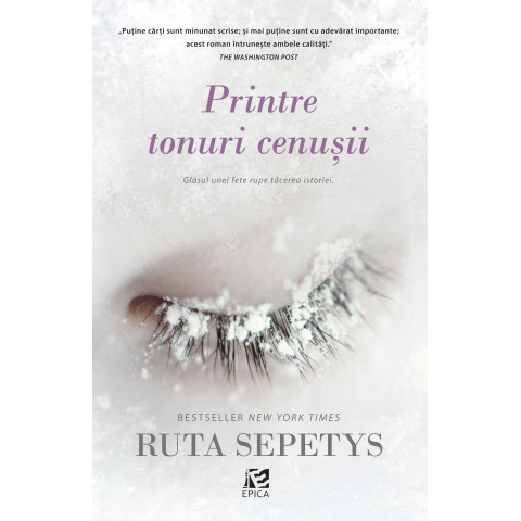 Printre tonuri cenușii