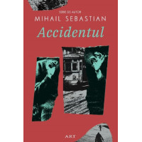Accidentul 2025