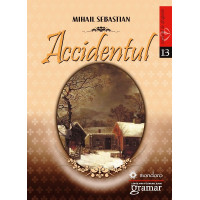 Accidentul