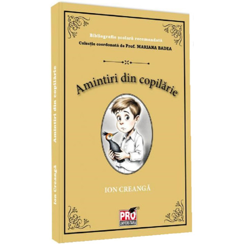 Amintiri din copilărie