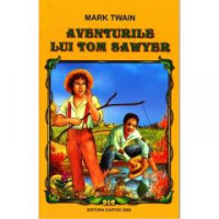 Aventurile lui Tom Sawyer