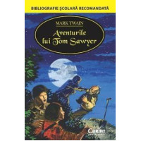 Aventurile lui Tom Sawyer