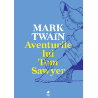 Aventurile lui Tom Sawyer