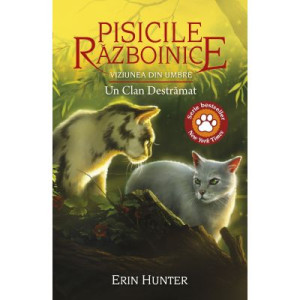 Pisicile Războinice 33. Viziunea din umbre. Un Clan Destrămat