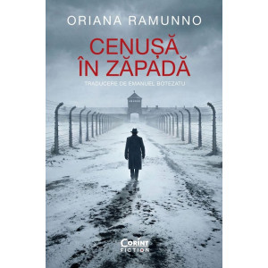 Cenușă în zăpadă