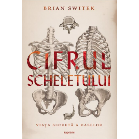 Cifrul scheletului