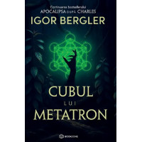 Cubul lui Metatron