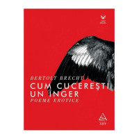 Cum cucerești un înger. Poeme erotice