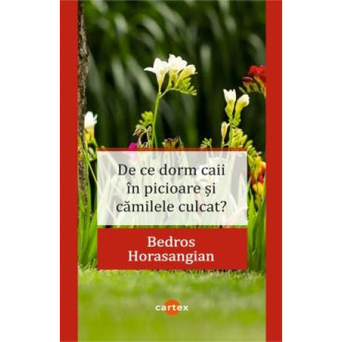 De ce dorm caii în picioare și cămilele culcat?