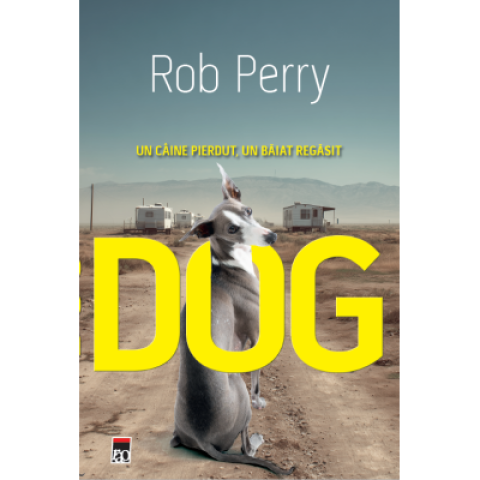DOG. Un câine pierdut, un băiat regăsit