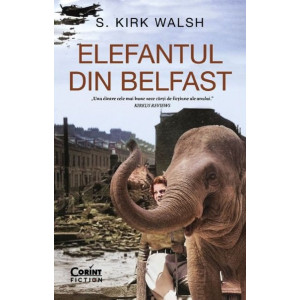 Elefantul din Belfast