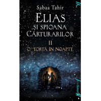 Elias şi spioana Cărturarilor II. O torță în noapte