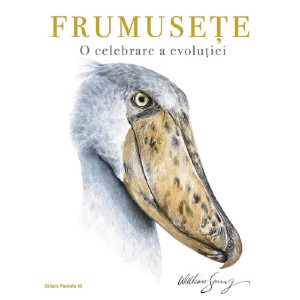 Frumusețe. O celebrare a evoluției