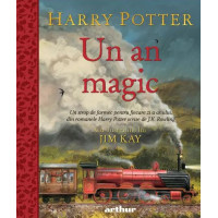 Harry Potter - Un an magic