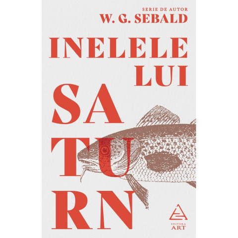 Inelele lui Saturn