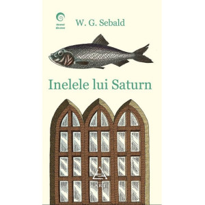 Inelele lui Saturn