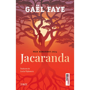 Jacaranda