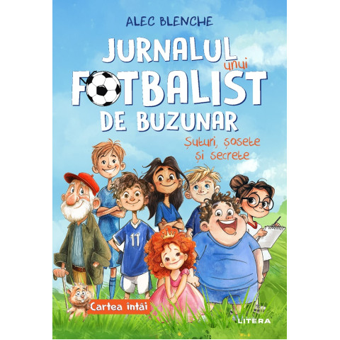 Jurnalul unui fotbalist de buzunar. Cartea 1
