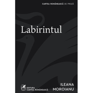 Labirintul