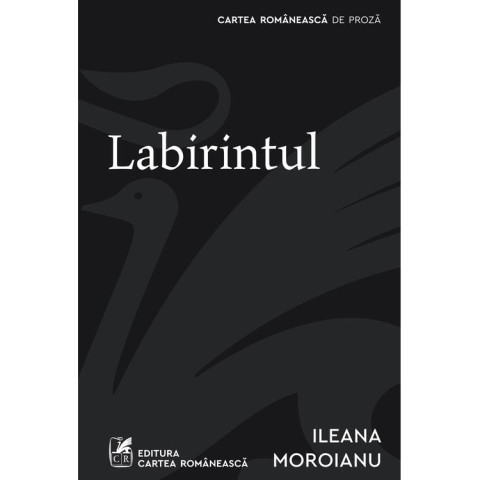Labirintul