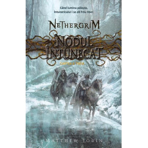 Nodul întunecat. Seria Nethergrim. Vol. 3