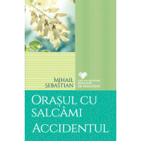 Orașul cu salcâmi. Accidentul