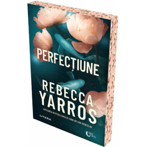 Perfecțiune
