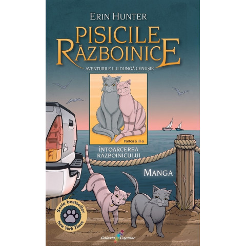 Aventurile lui Dungă Cenușie. Întoarcerea Războinicului