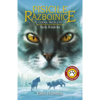 Pisicile Războinice Vol. 37: Codul Încălcat. Stele Rătăcite