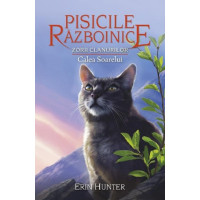 Pisicile Războinice 25 - Zorii clanurilor. Calea soarelui