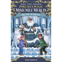 Misiunile Merlin: Palatul de gheață Misiunile Merlin: Palatul de gheață