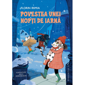 Povestea unei nopți de iarnă Povestea unei nopți de iarnă