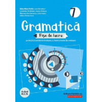 Gramatică - Clasa 7 - Fișe de lucru cu iteme și teste de evaluare